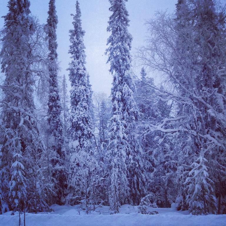 Villa Kuukkeli Salla Exteriör bild